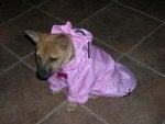 DSCN2446.jpg
