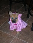 DSCN2444.jpg